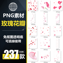 FWD498 real falling and scattered pink rose petals HD buckle-free PNG picture PS design material