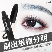 Carmela Mascara Female Waterproof Slim Curly Small Brush Head Very Thin and Super Long Cao Guodong Not Stunning Encrypted Lengthened