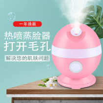 Open the pore steamer hot spray fruit and vegetable hydrating instrument facial beauty instrument humidifier