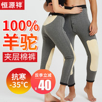 Hengyuan Xiang camel wool cotton pants men and women thick northeast high waist plus velvet winter alpaca wool warm pants size inside wear