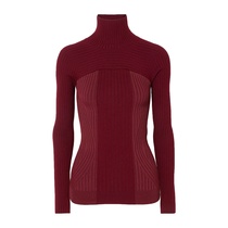 Mugler Mueller female turtleneck top