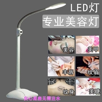 LED cold light magnifying glass beauty Cold Light beauty magnifying glass tattoo lamp nail art eyebrow floor lamp HD mirror