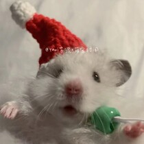 Pet hat hamster Golden Bear Flower Branch mouse honey kangoli headgear decoration fun Christmas hat scarf scarf