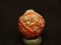 jin mai Stone floating flower jin mai the beautiful winter sweets bottle