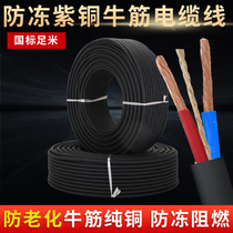Pure copper core wire soft sheath wire outdoor 2 Core 2 5 4 Square 1 5 cable household power cord national standard foot meters