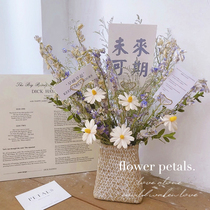 Small fresh ins net red daisy real flower air-dried natural dried flower bouquet living room decoration vase flower basket