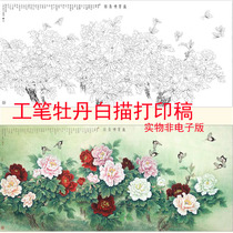 Chinese painting 4-foot peony 60*130cm flower and bird meticulous drawing white drawing manuscript physical printing manuscript sent color drawing A058