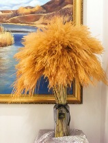 New ins Wind sweet honey orange Reed dried flower set home bedroom window background decoration photography props