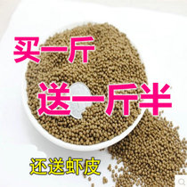 Tortoise grain large particle grained stone money turtle grass turtle feed crocodile Brazilian tortoise young turtle fish dried shrimp General purpose