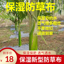 Betel nut agarwood special permeable breathable cover root grass weeding cloth agricultural moisturizing bag plastic film non-woven fabric