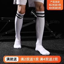 Football socks for men and women stockings adult children boys tube over-the-knee thickened mao jin di high anti-slip xun lian wa