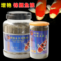 Dolphin koi cyanobacteria brightening food Dolphin koi fish feed Koi brightening growth fish food breeding color fish food