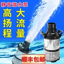 Large flow stainless steel submersible pump Large fish pond circulating pump water pump pool filter pump rockery circulating pump