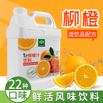 6 catties of fresh orange juice high-fold concentrated fruit juice 3kg bakery commercial beverage special for milk tea shop