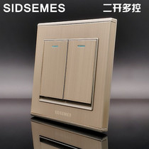 Two-open multi-control 86-type wall concealed International electrician champagne gold switch socket frameless panel power supply