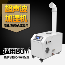 Multi Lexin Industrial Humidifiers DRS-06A Large Ultrasonic Humidifiers Sanitizing Machine Spray Vegetable Preservation