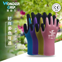 Home gardening protective gloves thick non-slip labor protection garden wear-resistant tools gloves waterproof stab-proof plastic gloves