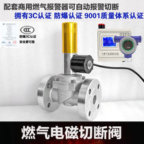 Industrial and commercial natural gas gas electromagnetic shut-off valve pipeline automatic emergency closure normally open explosion-proof solenoid valve