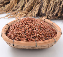 (Shanjian Lily)Guizhou deep mountain local variety buffalo hair red glutinous rice applied farm fertilizer artificial weeding 500g