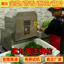 Multi-function vegetable cutting machine Canteen commercial onion cutting leek pepper lotus root slice cutting automatic small slicer multi-purpose