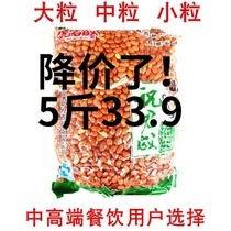 Food and beverage Fried peanuts Cooked bulk fried red skin Peanuts cooked fried red skin peanuts