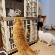 Alice oversized free cat villa cat cage Double-layer three-story cat house Never rust Alice dog cage