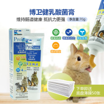 Rabbit PhD lactic acid bacteria conditioning to protect intestinal digestion rabbit dragon cat guinea pig hamster to enhance immunity 70g