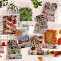 peet transparent hand ledger sticker suit Jennys comical time retro plant flower girl fresh material decoration