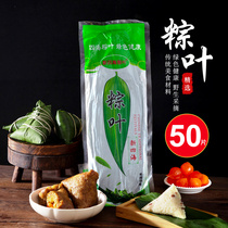 Zongzi leaves Wet Zongzi leaves fresh large Zongzi leaves palm leaves wild pure natural large Zongzi leaves vacuum-packed leaves 50 pieces