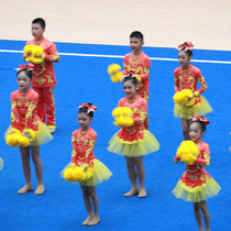 Customized cheerleading competition uniforms cheerleading performance clothes aerobics clothing suits dance clothes New 22 Group women