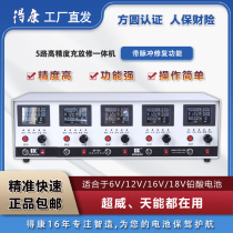 Battery pulse detector Dekang 5-way multi-function battery charge and discharge repair integrated repair instrument SF100S-5