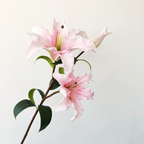 Too realistic for simulation hand feel PU moisturizing Bathyme bouquet Living room Decorative Pendulum with fumbling sound potted plant false flowers