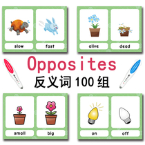 Synonyms antonyms reading flash cards early childhood Primary School Enlightenment training cards teachers teaching aids
