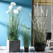 Nordic creative ins simulation flower plant reed grass decoration potted ornaments living room window green plant large bonsai