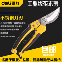 Able branches Cut fruit trees prunes Pruning Scissors Floral Cuts Gardening Garden Flowers Art Pruning Twigs scissors Branches Scissors