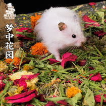 Moe Lord Drives Hamster Golden Bear Flower Pad Sawdust Flower Mouse Deodorization Scenery Dried Flower Summer Supplies