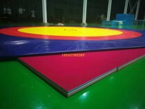 Wrestling mat cover single martial arts fight mat cover Taiji push hand anti-skid professional competition training field cover cloth