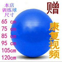 Rehabilitation training ball Childrens rehabilitation Sensory integration balance exercise Pap ball Bobath ball Cage ball Exercise ball