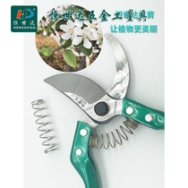 Hengshida branch shears tree shears family gardening pruning branches flowers labor-saving scissors rough shears flower scissors