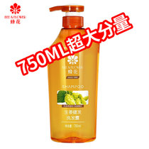 Bee Flower no silicone oil hair shampoo ginger hops oil control cleaning Shampoo Shampoo Shampoo