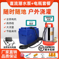 DC submersible pump rechargeable water pump battery 12V24V48V60V battery car agricultural watering vegetable small pump