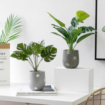 Nordic simulation plant potted green plant living room decoration ins Wind bedroom interior decoration turtle leaf fake grass bonsai