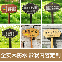 Vegetable field flowers and plants inserted in the ground outdoor wooden warning signs kindergarten vegetable garden garden planting prompt wooden sign customization