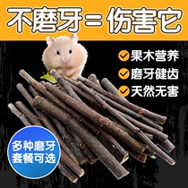 Harden grinding stick apple sweet bamboo rabbit small dragon cat special wooden wire bear to fill calcium branches