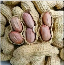 (Chuansha Bridge melon seeds) marinated peanuts