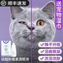 Cat eye potion Cat eye drops Eye drops Eye drops Eye inflammation tears Cats use antibacterial anti-inflammatory nose to remove tears Pets