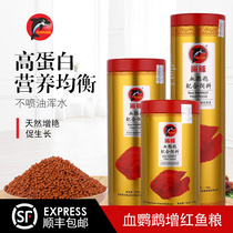  Dolphin blood parrot fish redening special food Dolphin fish food Red god of wealth red ingot parrot lucky fish food fish feed