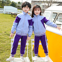 Primary school uniforms Summer cotton short-sleeved childrens suits sports class uniforms spring and autumn kindergartens garden uniforms purple