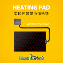 Reptile heating pad horned frog lizard box palace guard with temperature control fish turtle tank Betta hermit crab constant temperature heating insulation pad