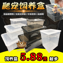  Reptile feeding box Climbing pet box silkworm spider horned frog palace guard box lizard pet snake snail insect turtle tank